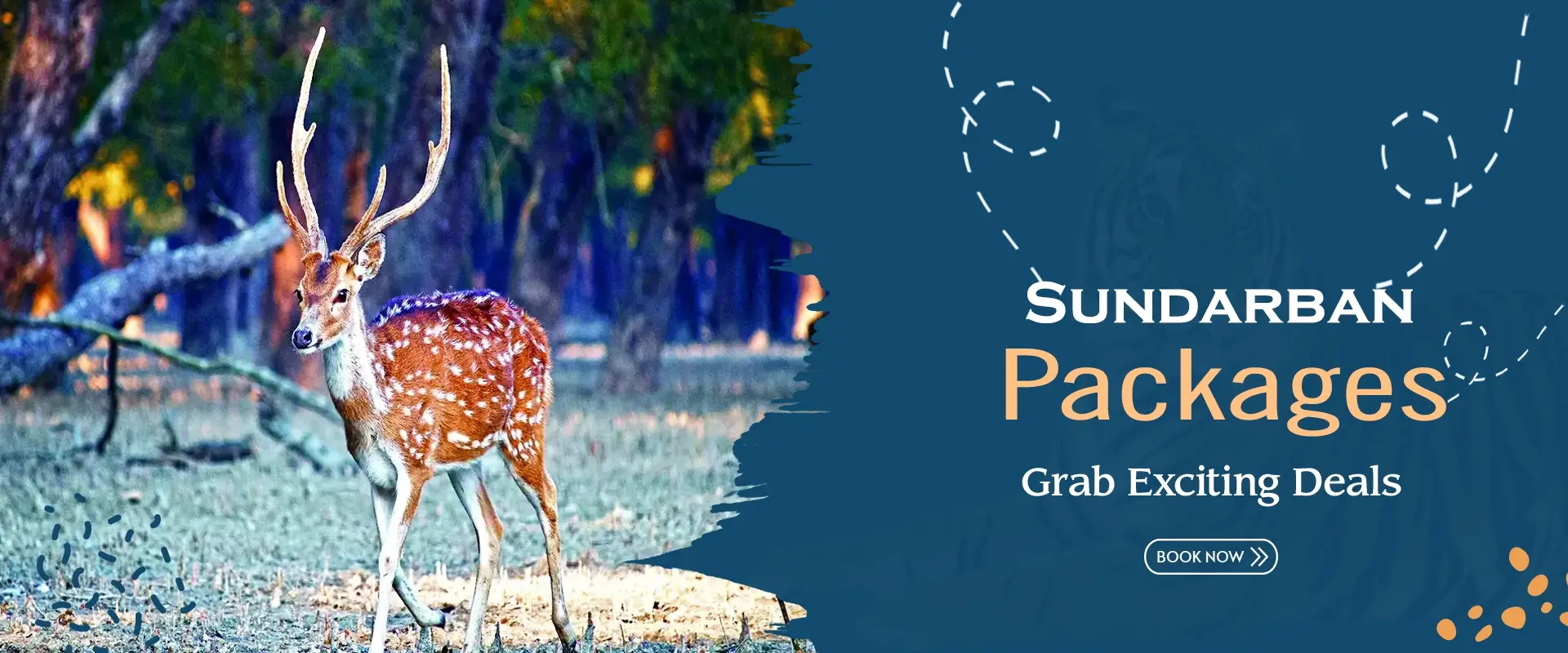 Sundarban Royal Tourism