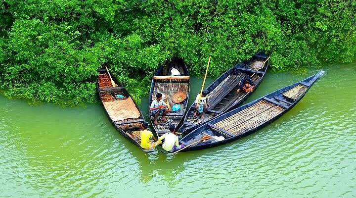 Sundarban 1 Night 2 Days Tour