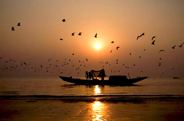 Group Special Sundarban Package