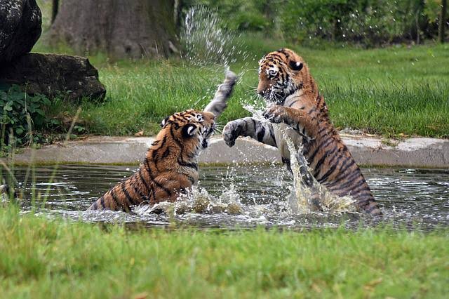 1 Day Sundarban Tour