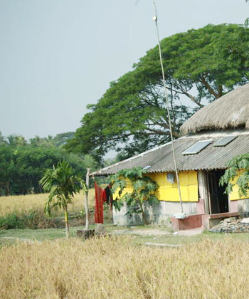 gosaba