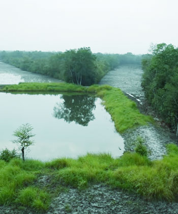 sudhanyakhali